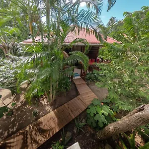 Dans Un Jardin Hébergement de vacances Terre-De-Haut